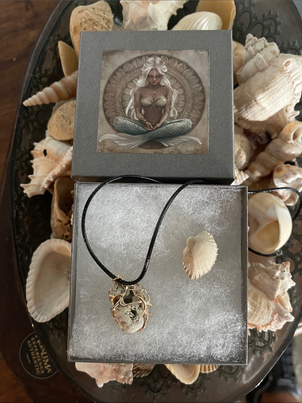 Wire Wrapped Hag Stone with Vintage Concrete Shell in Mermaid Gift Box